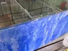 [TodoMarino.com] dudas sobre vinilo sumergible...