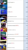 [TodoMarino.com] Seguimos con las ofertas del verano