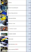 [TodoMarino.com] Seguimos con las ofertas del verano