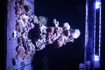 [TodoMarino.com] Metodo Rainbow