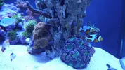 [TodoMarino.com] Semi-cubo - Mi nuevo proyecto de 300L