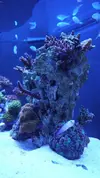 [TodoMarino.com] Semi-cubo - Mi nuevo proyecto de 300L
