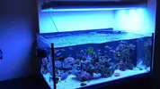 [TodoMarino.com] Semi-cubo - Mi nuevo proyecto de 300L