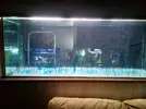 [TodoMarino.com] Nuevo proyecto 850L.