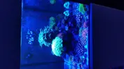 [TodoMarino.com] Nano 90 L