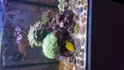 [TodoMarino.com] Nano 90 L