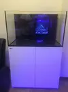 [TodoMarino.com] Mi Red Sea Reefer 250 "RhoxReef"