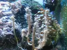 [TodoMarino.com] Mi Pequeña Aventura Marina de 27L