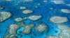 corales-en-australia.jpg