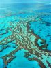 peter-walton-great-barrier-reef-queensland-australia.jpg