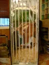 [TodoMarino.com] Nuevo proyecto 850L.