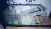 [TodoMarino.com] Reseteo de KalyReef