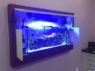 [TodoMarino.com] Mi primer Marino...