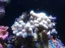 [TodoMarino.com] Taller Usuarios RED SEA MAX