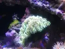 [TodoMarino.com] Taller Usuarios RED SEA MAX