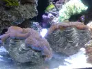 [TodoMarino.com] Taller Usuarios RED SEA MAX