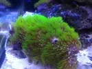 [TodoMarino.com] Taller Usuarios RED SEA MAX