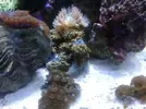 [TodoMarino.com] Taller Usuarios RED SEA MAX