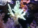 [TodoMarino.com] Taller Usuarios RED SEA MAX