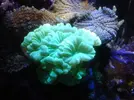 [TodoMarino.com] Taller Usuarios RED SEA MAX