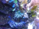 [TodoMarino.com] Taller Usuarios RED SEA MAX