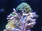 [TodoMarino.com] Taller Usuarios RED SEA MAX
