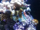 [TodoMarino.com] Taller Usuarios RED SEA MAX