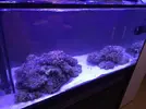 [TodoMarino.com] Mi primer marino