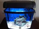 [TodoMarino.com] Nano Cubo  Resun dm400pl 48 litros