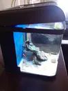 [TodoMarino.com] Nano Cubo  Resun dm400pl 48 litros