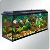[TodoMarino.com] Primera pantalla para mi aqua-led 100L