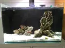 [TodoMarino.com] Nuevo-  nano marine ocean free 96