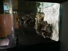 [TodoMarino.com] Nuevo-  nano marine ocean free 96