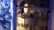 [TodoMarino.com] Rollermat, el calcetin automatico