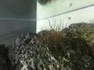 [TodoMarino.com] AYUDAAA!! Plagas?