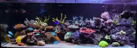 [TodoMarino.com] Un trozo de oceano