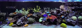 [TodoMarino.com] Un trozo de oceano