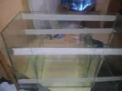 [TodoMarino.com] SUM (montaje casero)
