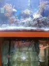 [TodoMarino.com] SUM (montaje casero)