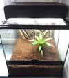[TodoMarino.com] Cambio terrario