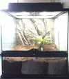 [TodoMarino.com] Cambio terrario