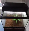 [TodoMarino.com] Cambio terrario