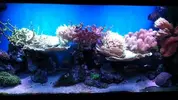 [TodoMarino.com] historia de un acuario abandonado
