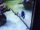 [TodoMarino.com] Reef Life .- Madrid