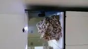 [TodoMarino.com] Mi acuario de 300 litros