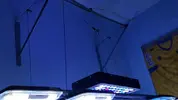 [TodoMarino.com] Post Oficial Pantallas MarsAqua y pantallas Chinas de leds