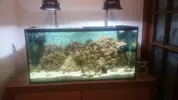 [TodoMarino.com] Nuevo marino Kantabriko 200L + Sump 80L