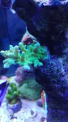[TodoMarino.com] Pescazeef