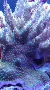 [TodoMarino.com] Pescazeef