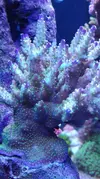 [TodoMarino.com] Pescazeef